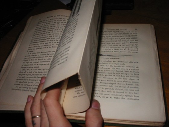 An example of uncut pages.