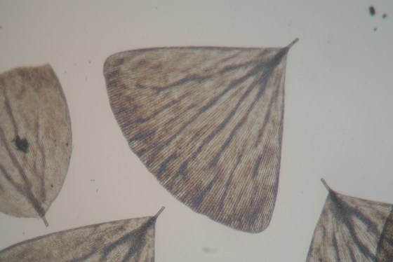 Be warned the full size image is ~4MB.