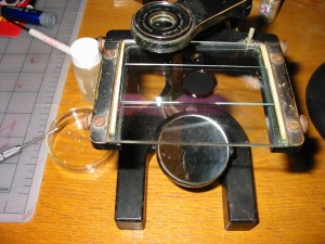 Bausch and Lomb Dissecting microscope W