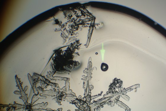 Note the artifacts around the arrow.