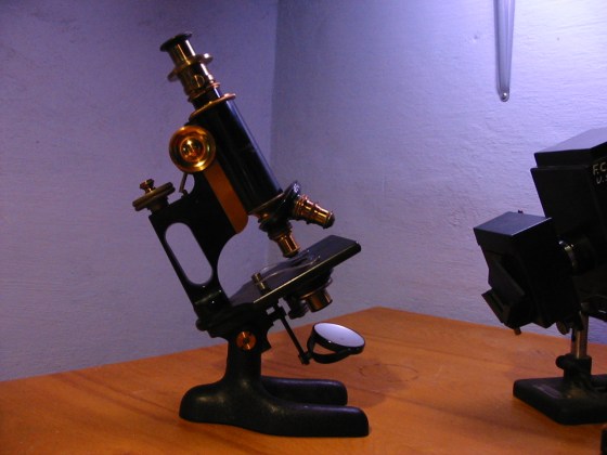 Polarizing apparatus on period appropriate microscope.