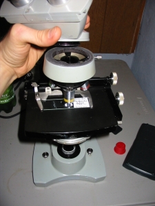 Improvised polarizer and analyzer in place on AO Spencer microscope