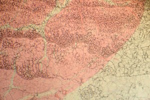 Photomicrograph showing degraded mountant.
