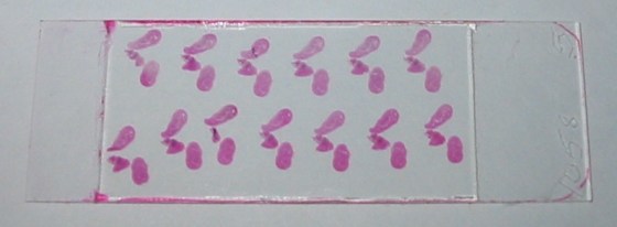 This slide might look familiar.