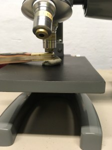 3ca50003-f562-435a-95e7-fbda76ccfc37-649-000000960bbb8e15_file