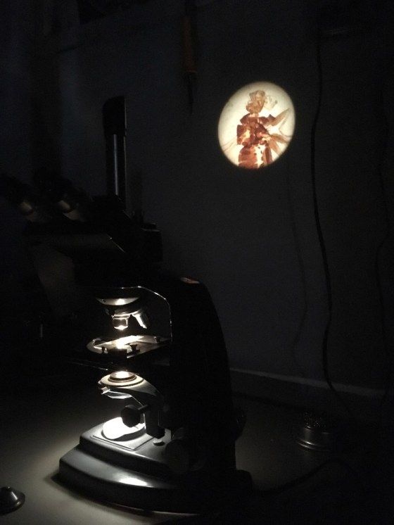 UNADJUSTEDNONRAW_thumb_2b7